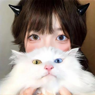 白骑士
